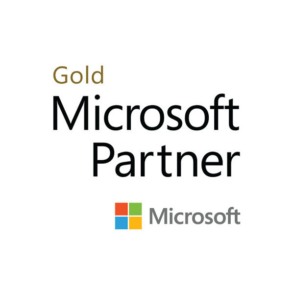 01. Gold MS Partner